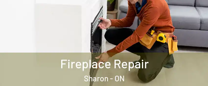  Fireplace Repair Sharon - ON