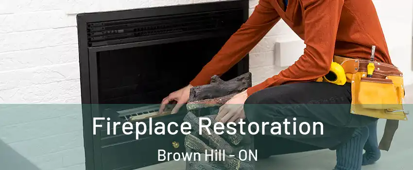  Fireplace Restoration Brown Hill - ON