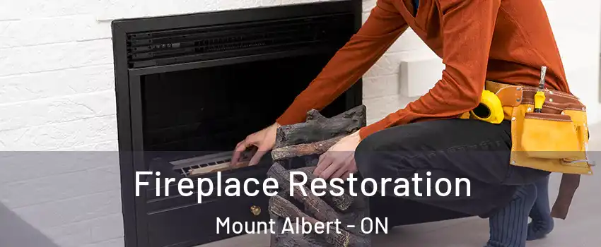  Fireplace Restoration Mount Albert - ON