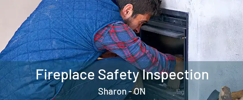  Fireplace Safety Inspection Sharon - ON