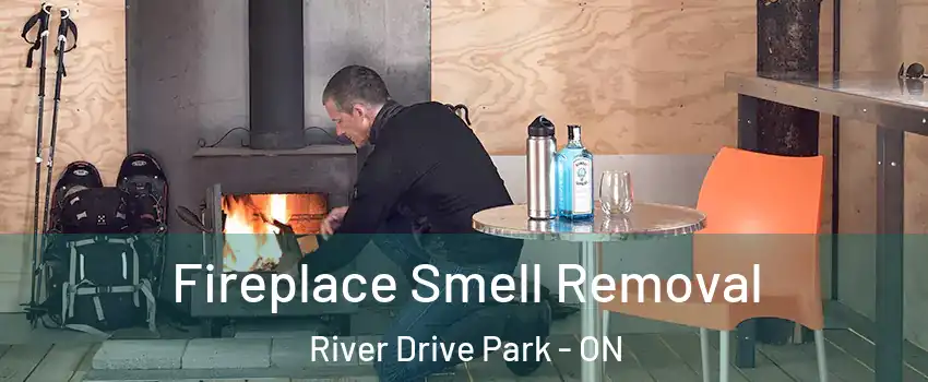  Fireplace Smell Removal River Drive Park - ON