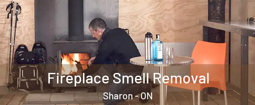  Fireplace Smell Removal Sharon - ON