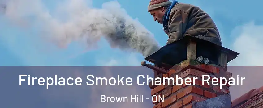  Fireplace Smoke Chamber Repair Brown Hill - ON