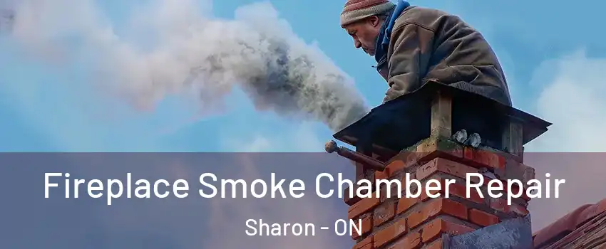 Fireplace Smoke Chamber Repair Sharon - ON