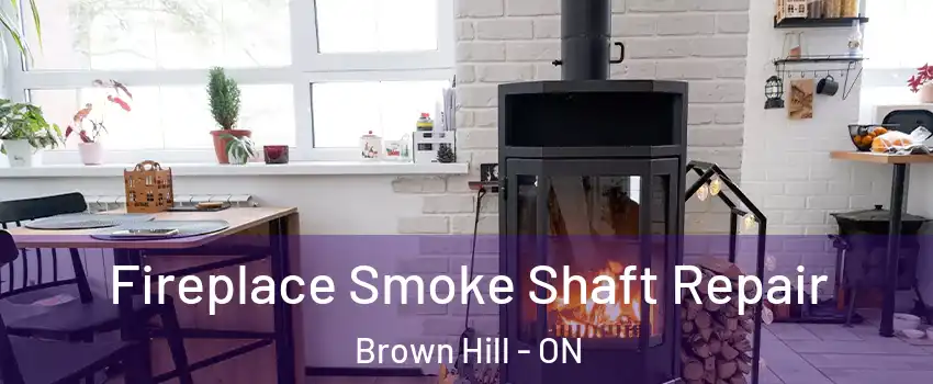  Fireplace Smoke Shaft Repair Brown Hill - ON