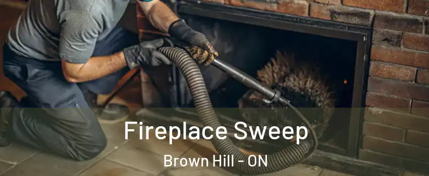  Fireplace Sweep Brown Hill - ON