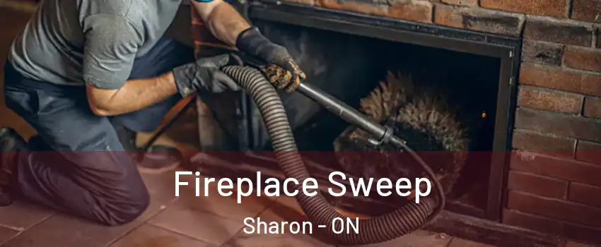  Fireplace Sweep Sharon - ON