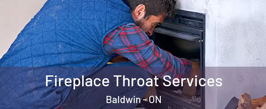  Fireplace Throat Services Baldwin - ON