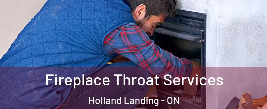  Fireplace Throat Services Holland Landing - ON