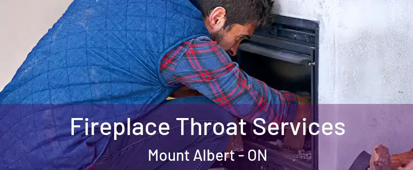  Fireplace Throat Services Mount Albert - ON