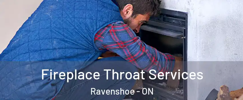  Fireplace Throat Services Ravenshoe - ON
