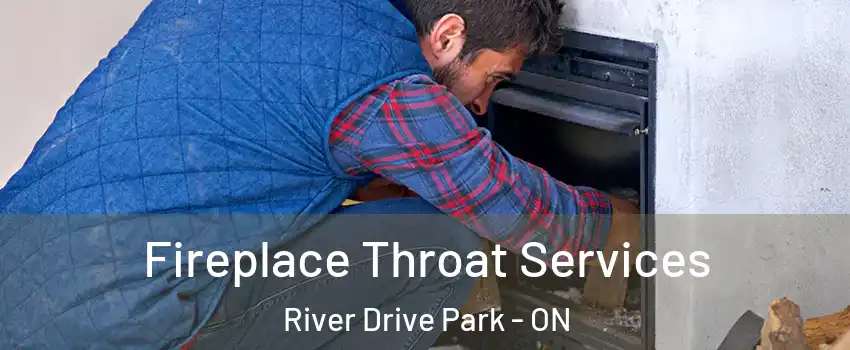  Fireplace Throat Services River Drive Park - ON
