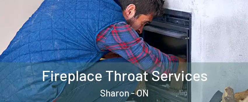  Fireplace Throat Services Sharon - ON