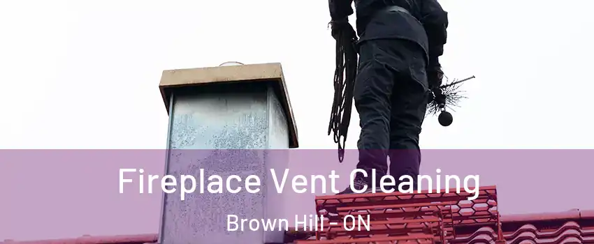  Fireplace Vent Cleaning Brown Hill - ON