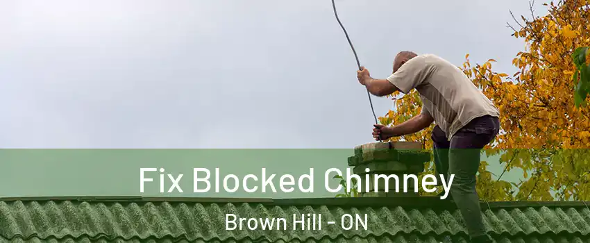  Fix Blocked Chimney Brown Hill - ON