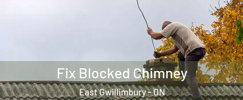  Fix Blocked Chimney East Gwillimbury - ON