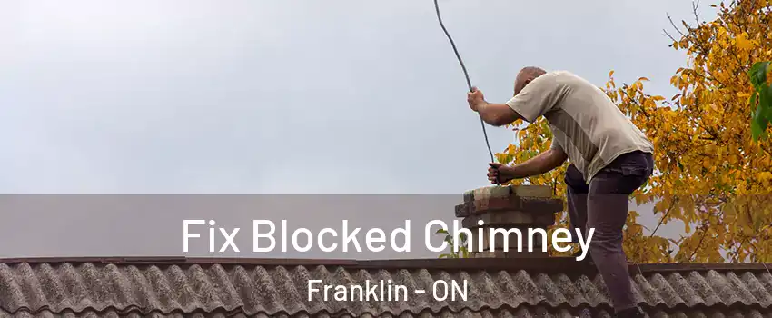  Fix Blocked Chimney Franklin - ON