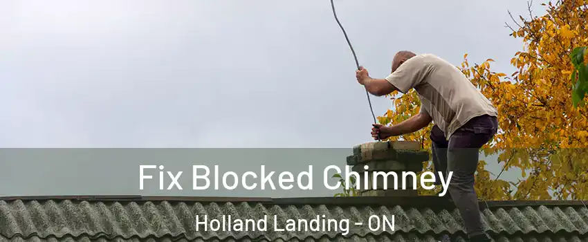  Fix Blocked Chimney Holland Landing - ON