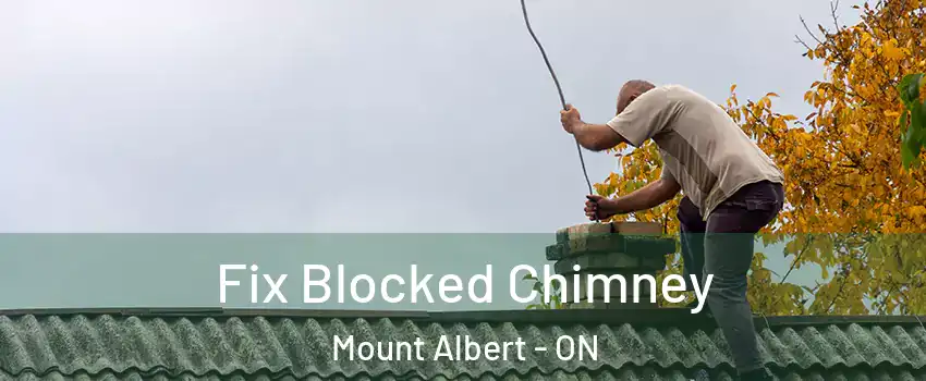  Fix Blocked Chimney Mount Albert - ON