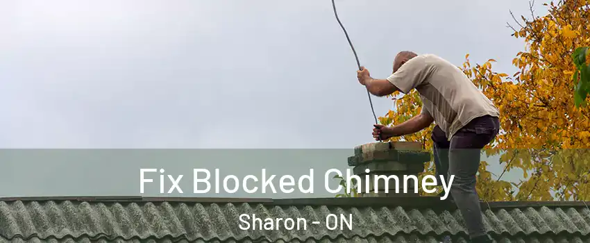  Fix Blocked Chimney Sharon - ON