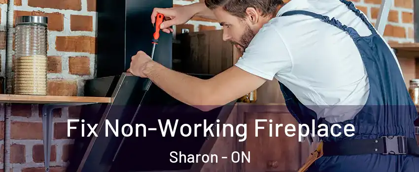  Fix Non-Working Fireplace Sharon - ON