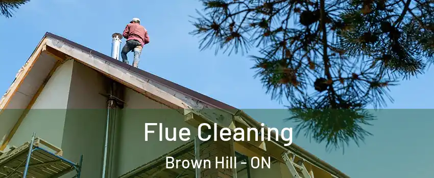  Flue Cleaning Brown Hill - ON