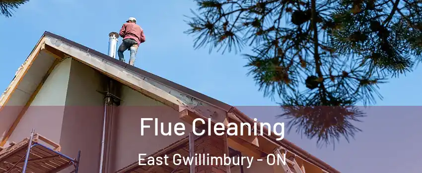  Flue Cleaning East Gwillimbury - ON