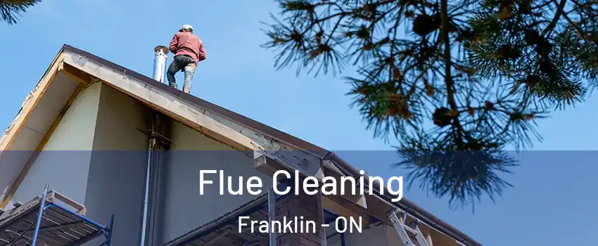  Flue Cleaning Franklin - ON
