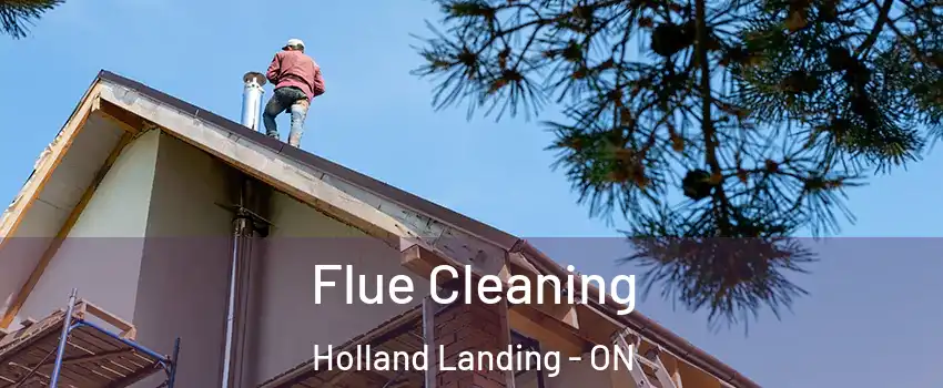  Flue Cleaning Holland Landing - ON