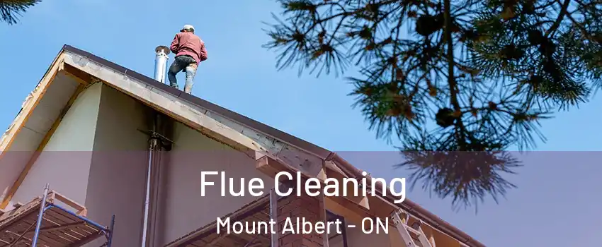  Flue Cleaning Mount Albert - ON