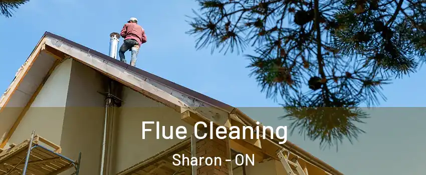  Flue Cleaning Sharon - ON