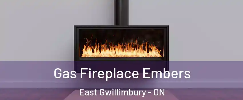  Gas Fireplace Embers East Gwillimbury - ON