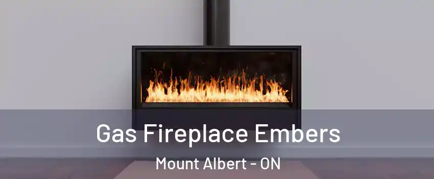  Gas Fireplace Embers Mount Albert - ON