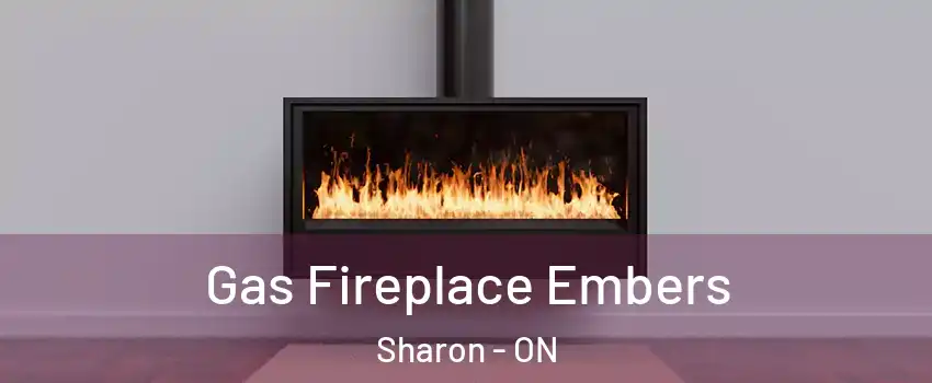  Gas Fireplace Embers Sharon - ON