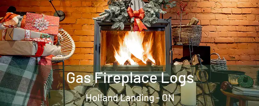 Gas Fireplace Logs Holland Landing - ON
