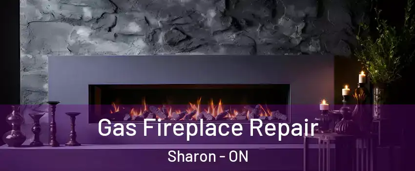  Gas Fireplace Repair Sharon - ON