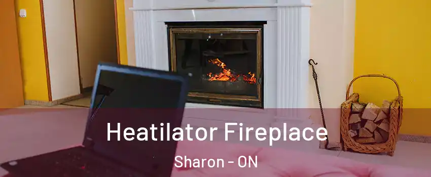  Heatilator Fireplace Sharon - ON
