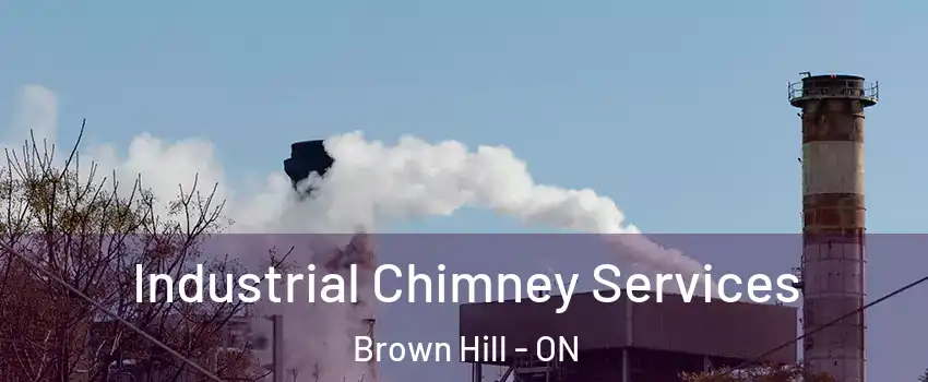  Industrial Chimney Services Brown Hill - ON