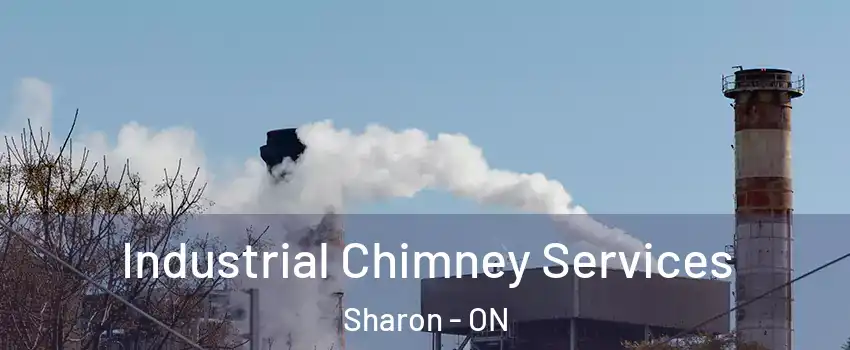  Industrial Chimney Services Sharon - ON