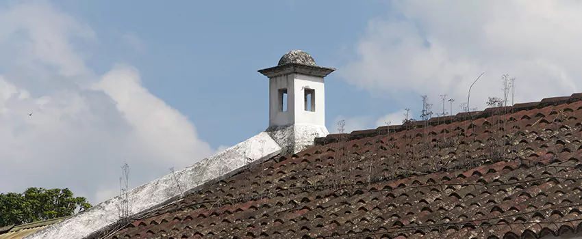 Wind-Resistant Chimney Caps Installation and Repair Services in East Gwillimbury, Ontario