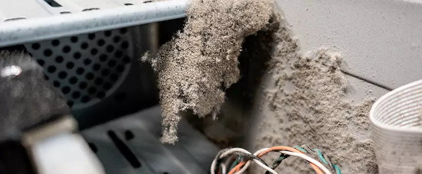 Clogged Dryer Vent Lint Cleaning in East Gwillimbury, Ontario