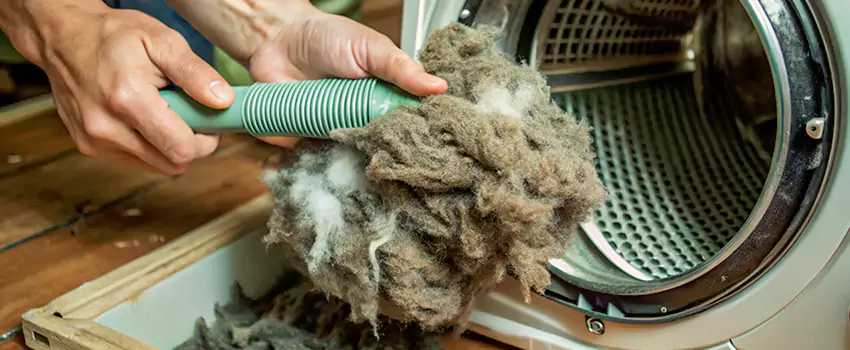 Best Dryer Lint Removal Company in East Gwillimbury, Ontario
