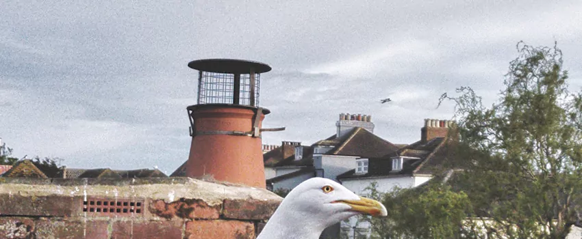 Chimney Cap Bird Guard Repair in East Gwillimbury, Ontario