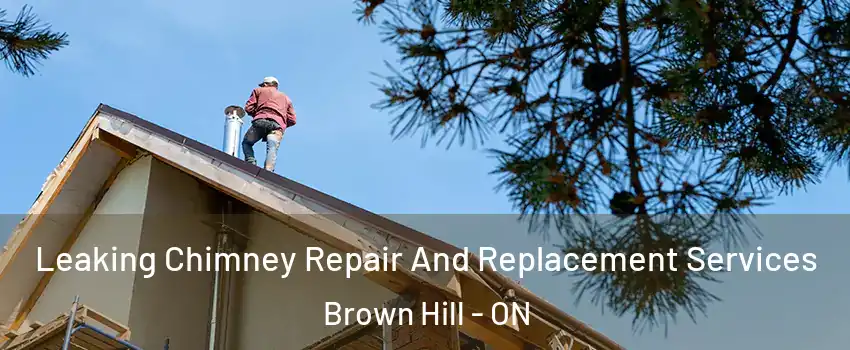  Leaking Chimney Repair And Replacement Services Brown Hill - ON