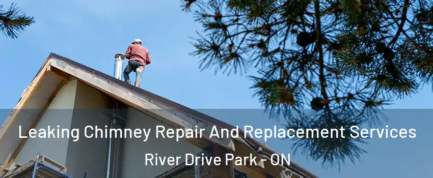  Leaking Chimney Repair And Replacement Services River Drive Park - ON