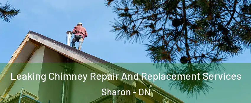 Leaking Chimney Repair And Replacement Services Sharon - ON