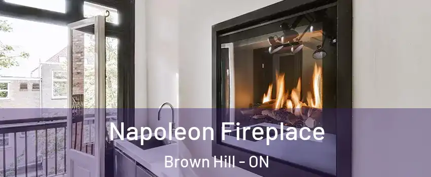  Napoleon Fireplace Brown Hill - ON