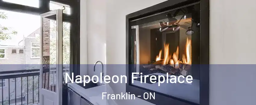  Napoleon Fireplace Franklin - ON