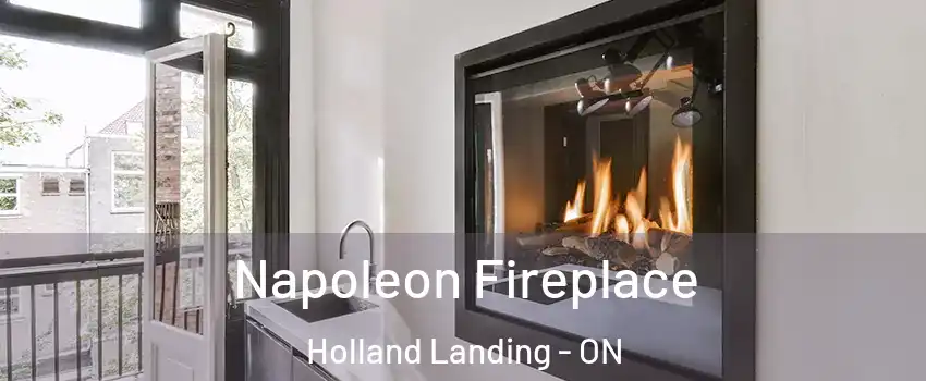  Napoleon Fireplace Holland Landing - ON