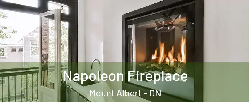  Napoleon Fireplace Mount Albert - ON